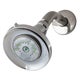 Earth® Luxe Showerhead 1.25 gpm, Brushed Nickel