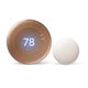 Google Nest Learning Thermostat (4th gen) includes Nest Temperature Sensor (2nd gen) - Polished Gold