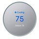 Google Nest Thermostat Fog