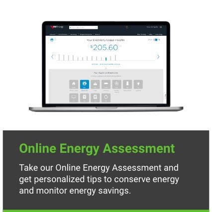 Online Energy Assessment